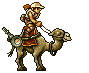 CAMEL SLUG
